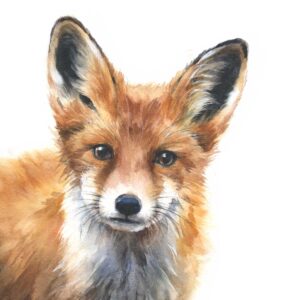 red fox watercolour painting, art print