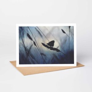 blue butterfly greetings card
