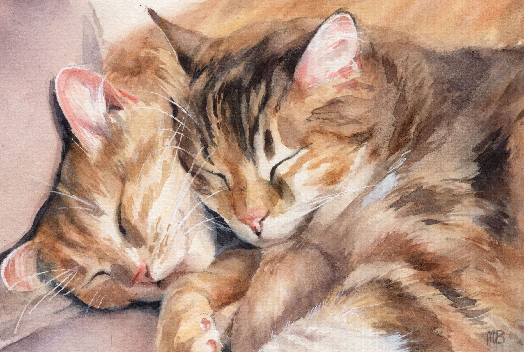 'Cat Cuddle' Thinking of you card - Image 2