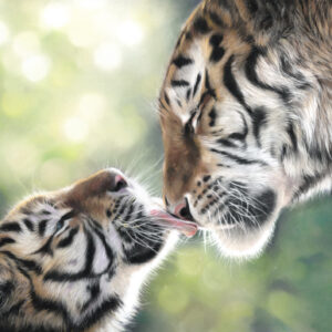 tiger mother and cub pastel fine art print