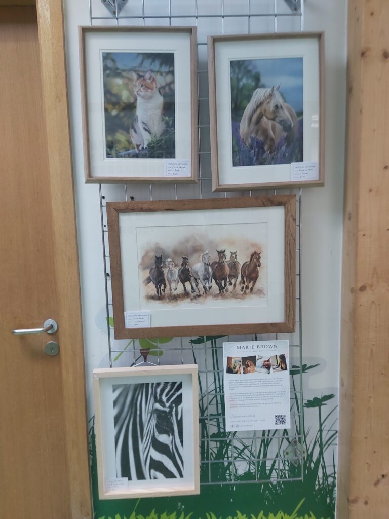 solo exhibiton at attenborough nature reserve