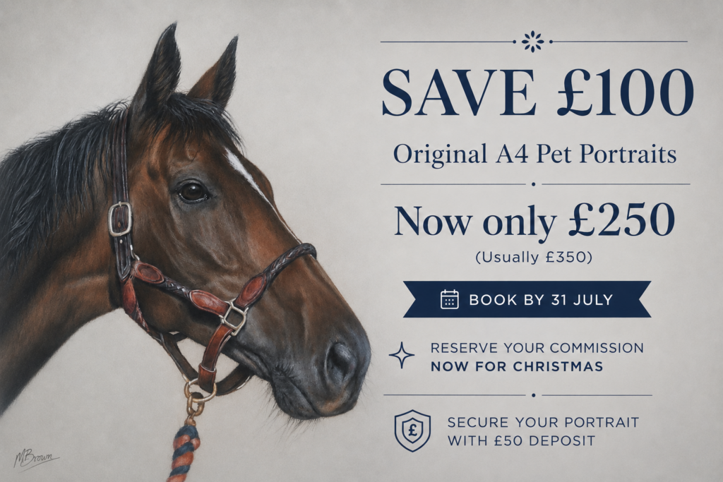 pet portrait special offer for july