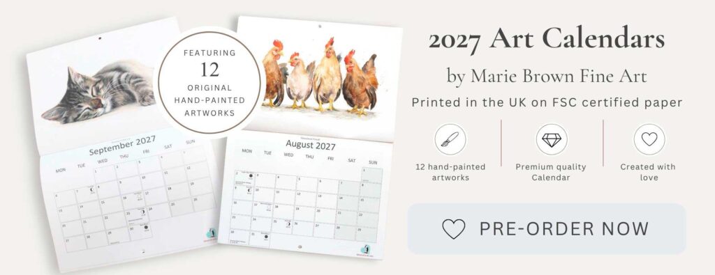 2027 calendar pre order offer