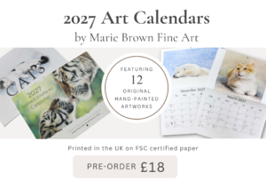 2027 calendar launch