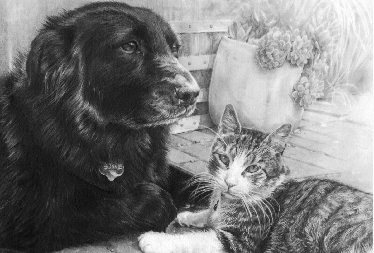 cat and dog pet portrait by marie brown artist